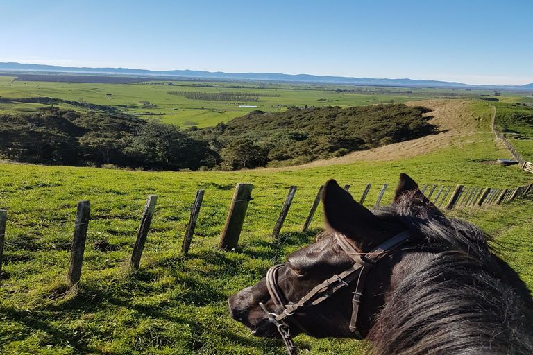 Photo of property in 149b Torehape Road, Kaihere, Ngatea, 3597
