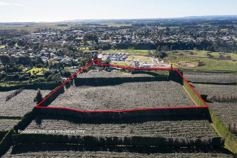 Photo of property in 81 Dunlop Road, Te Puke, 3119