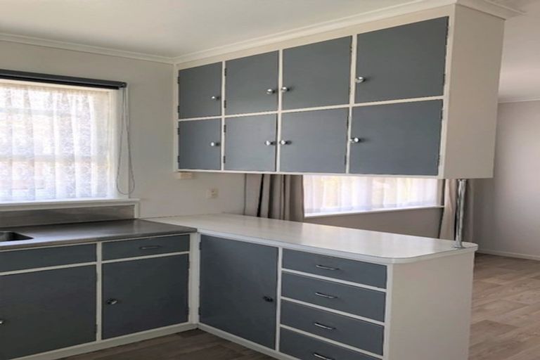 Photo of property in 149 Winchester Street, Levin, 5510