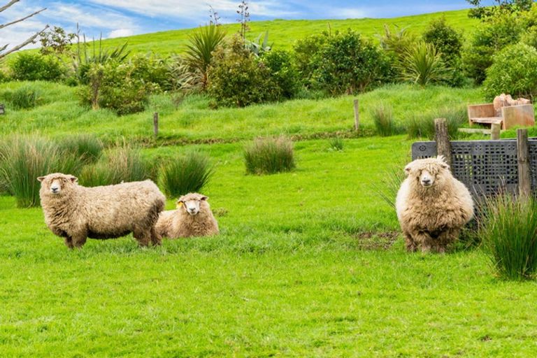 Photo of property in 15 Massey Road, Waipu, 0582