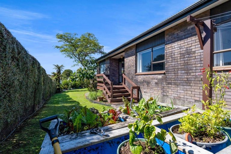 Photo of property in 15 Brecon Road, Stratford, 4332