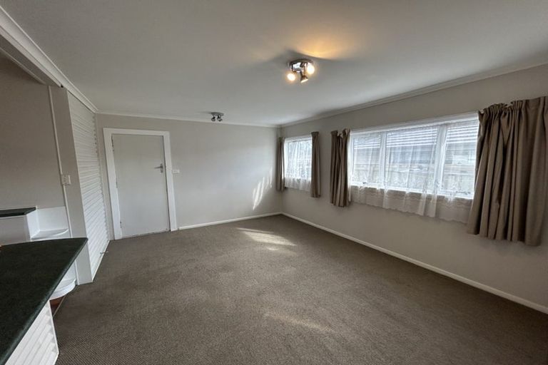 Photo of property in 17 Winchester Street, Levin, 5510