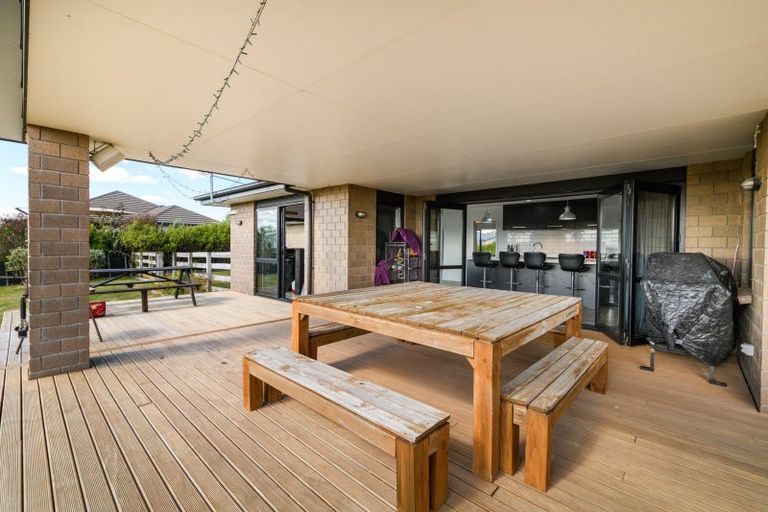 Photo of property in 14 Fallow Avenue, Feilding, 4775