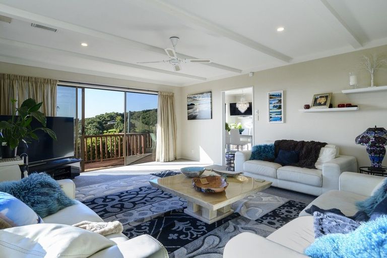 Photo of property in 313 Youngson Road, Whakamarama, Tauranga, 3179