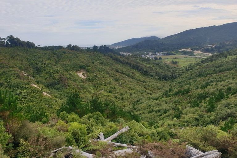 Photo of property in 308 Marsden Road, Greymouth, 7805