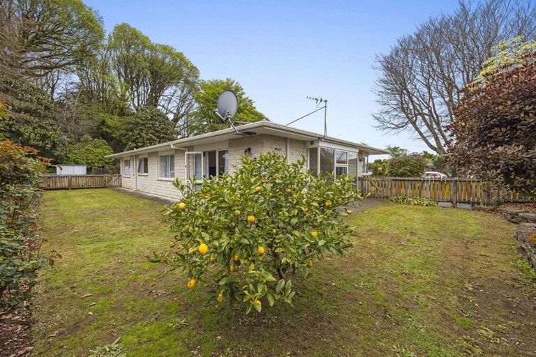 Photo of property in 99 Hamlet Street, Stratford, 4332