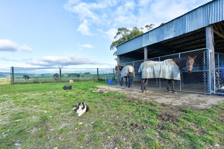 Photo of property in 791 Wyndham Letterbox Road, Glenham, Wyndham, 9891