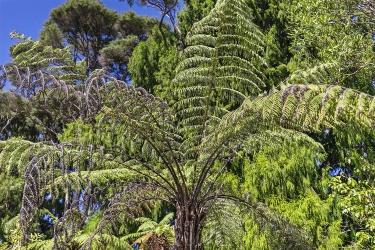 Photo of property in 747 Scenic Drive, Henderson Valley, Auckland, 0612