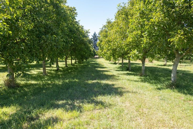 Photo of property in 120 Ulundi Road, Rakaia, 7784