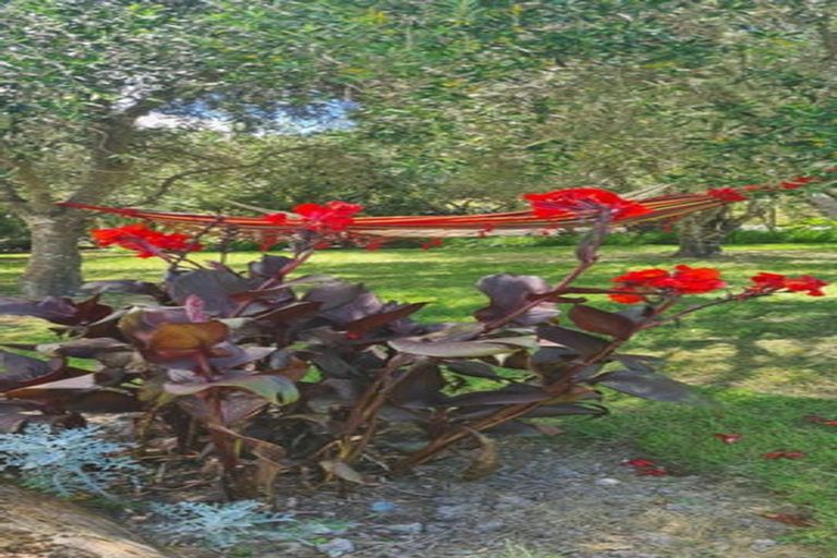 Photo of property in 50 Atkin Road, Mangawhai, Kaiwaka, 0573