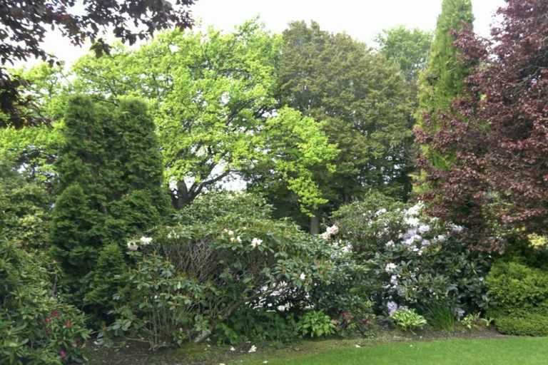 Photo of property in 146 Benhar Road, Benhar, Balclutha, 9272