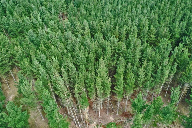 Photo of property in 2/374 Karanga Road, Dunsandel, Leeston, 7682