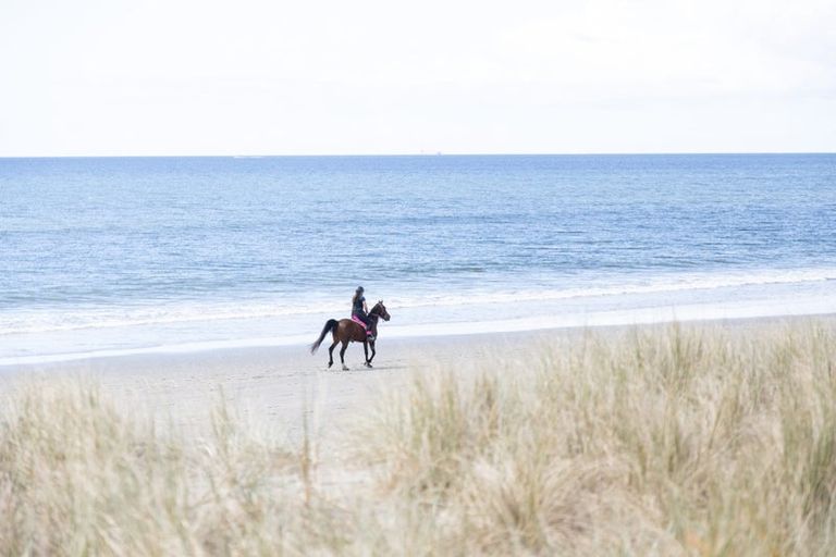 Photo of property in 61 Broadway Road, Waihi Beach, 3611