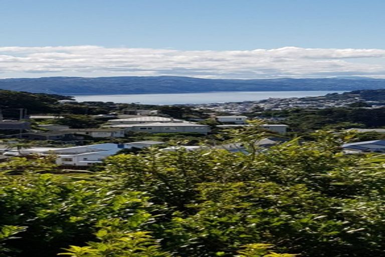 Photo of property in 153 The Ridgeway, Mornington, Wellington, 6021