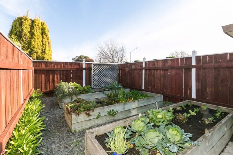 Photo of property in 185 Kennedy Road, Marewa, Napier, 4110