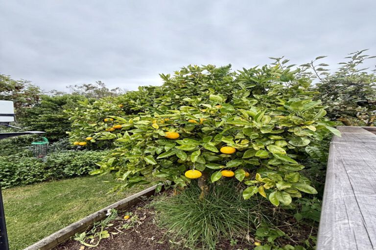 Photo of property in 19 Bath Street, Brighton, Dunedin, 9035