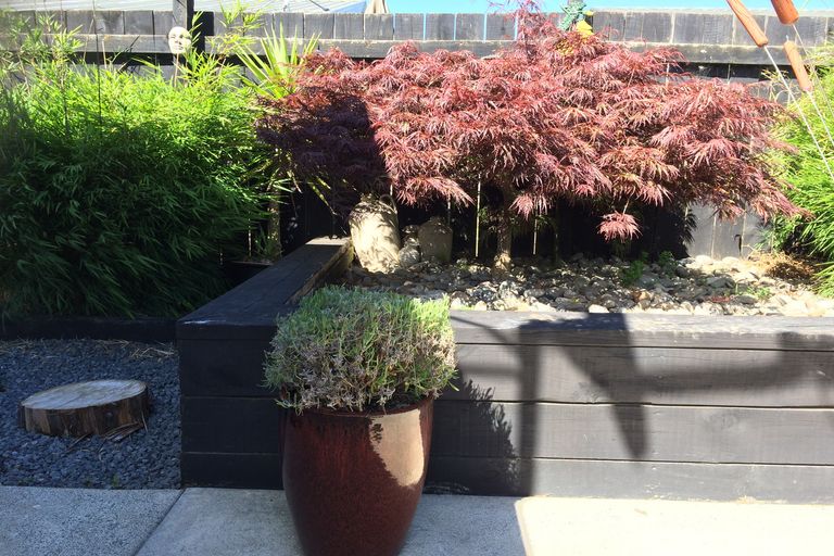 Photo of property in 2/602 Te Rahu Road, Te Awamutu, 3800