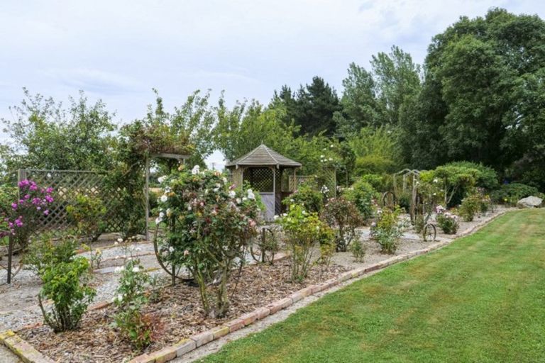 Photo of property in 396 Waipopo Road, Seadown, Timaru, 7973