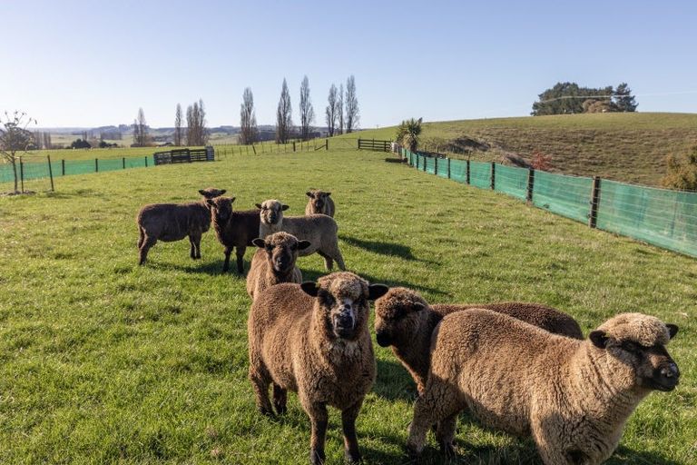 Photo of property in 639 Lindsay Road, Waipukurau, 4283