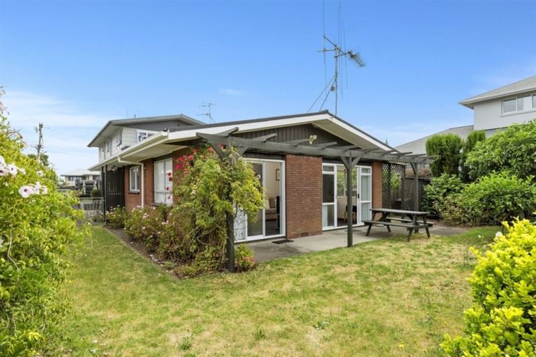 Photo of property in 387d Oceanbeach Road, Mount Maunganui, 3116