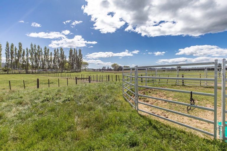 Photo of property in 471 Porangahau Road, Waipukurau, 4282