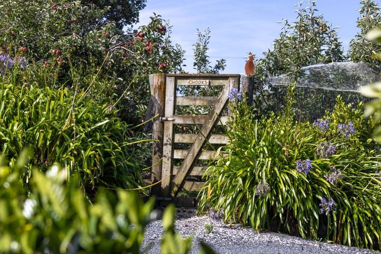 Photo of property in 136a Monarch-downs Way, Warkworth, 0982