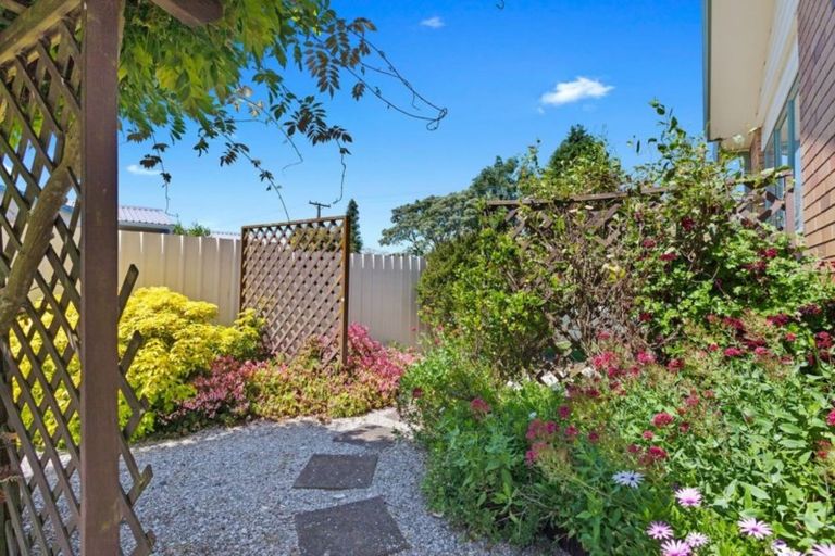 Photo of property in 86 Grant Road, Opotiki, 3122