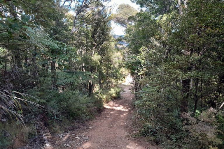 Photo of property in 109 Kawhina Lane, Kuaotunu, Whitianga, 3592