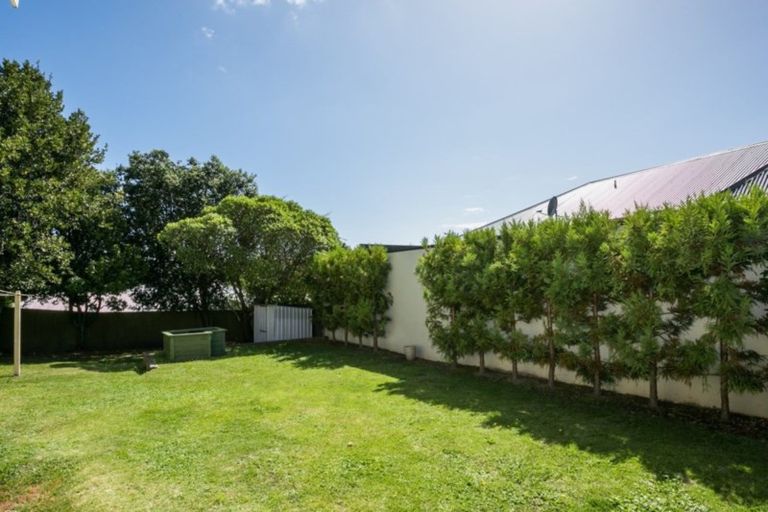 Photo of property in 31 Cameron Road, Bluff Hill, Napier, 4110