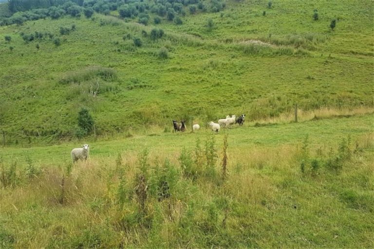 Photo of property in 2162 Herbert-hampden Road, Herbert, Oamaru, 9495