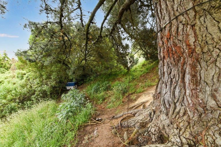 Photo of property in 28 Puketai Street, Andersons Bay, Dunedin, 9013