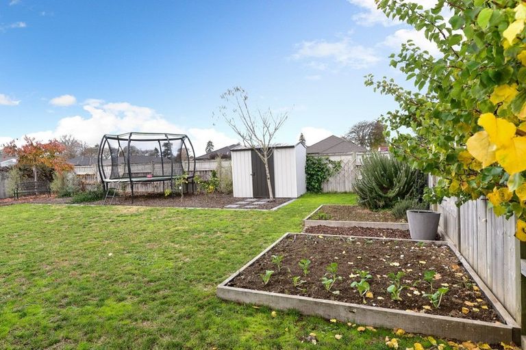 Photo of property in 38 West Thompson Street, Leamington, Cambridge, 3432