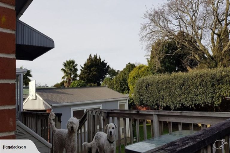 Photo of property in 74 David Avenue, Hillpark, Auckland, 2102