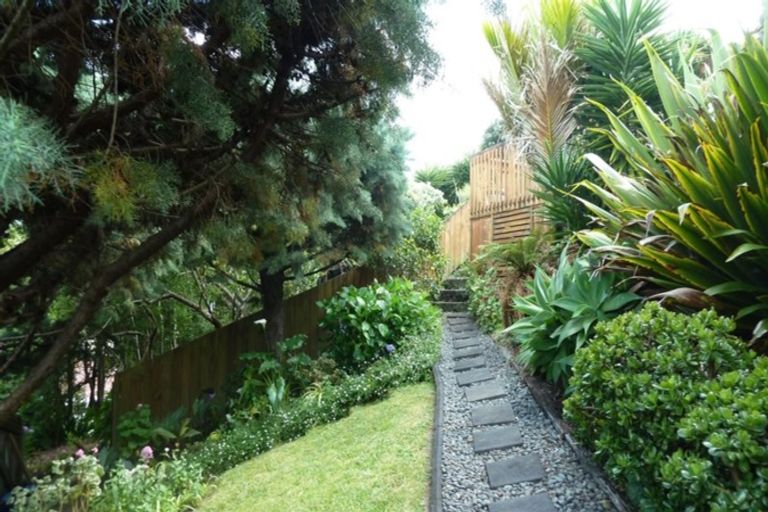 Photo of property in 219 Waikiekie Road, Thames, 3500