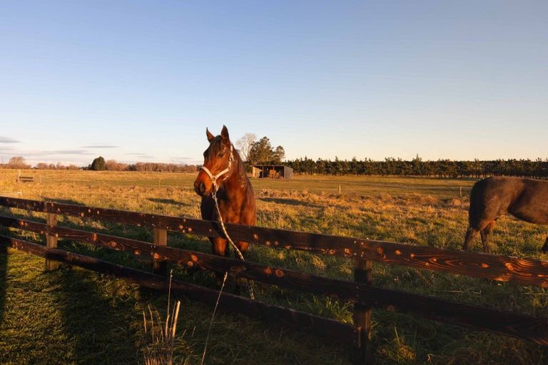 Photo of property in 183 Terrace Road, Cust, 7471