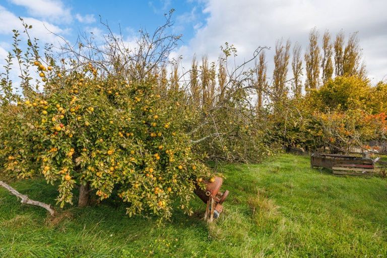 Photo of property in 82 Flygers Line, Milson, Palmerston North, 4478