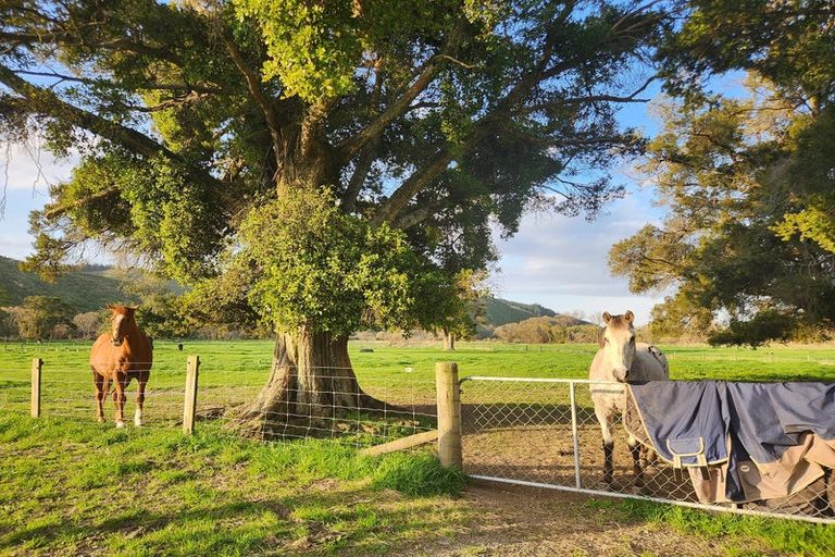 Photo of property in 42 Pigeon Valley Road, Wakefield, 7025