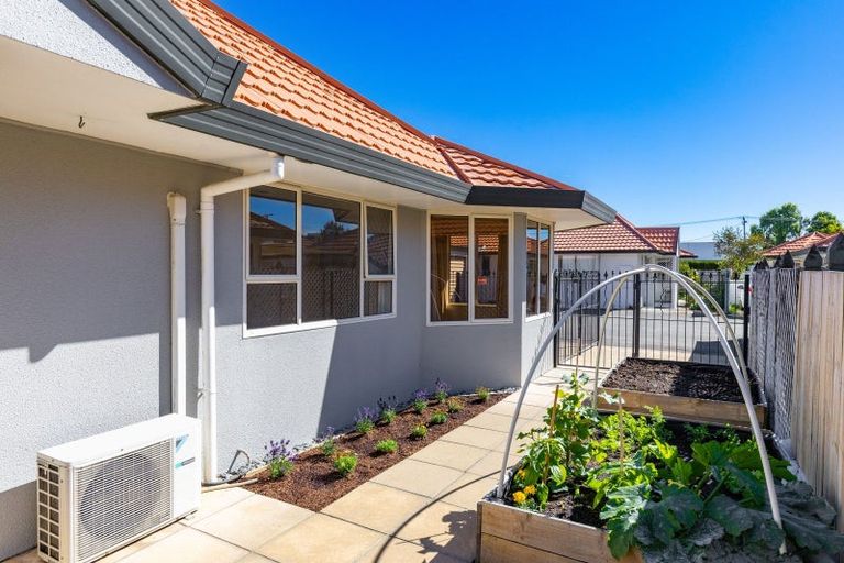 Photo of property in 4b Seymour Street, Blenheim, 7201