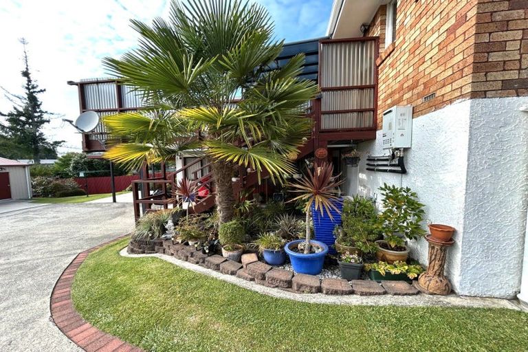 Photo of property in 25 Papanui Street, Tokoroa, 3420