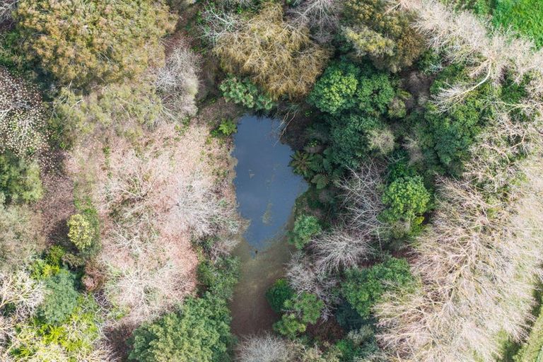 Photo of property in 86 Lindsay Road, Levin, 5510