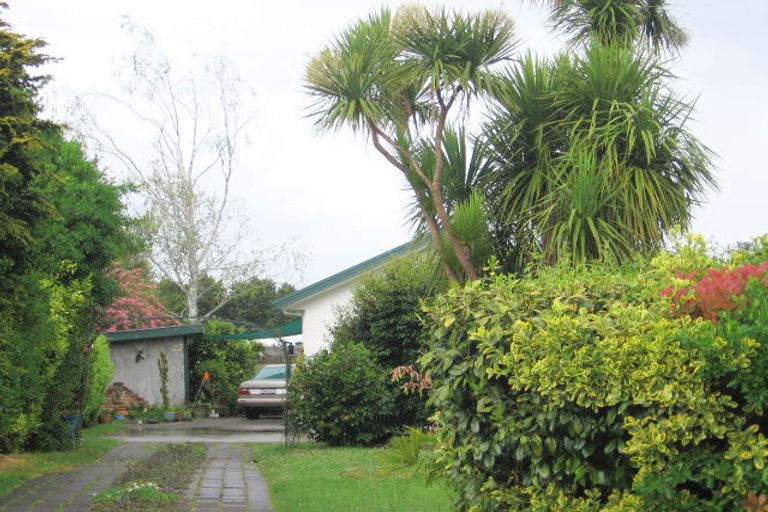 Photo of property in 46a Bradford Street, Waihi, 3610
