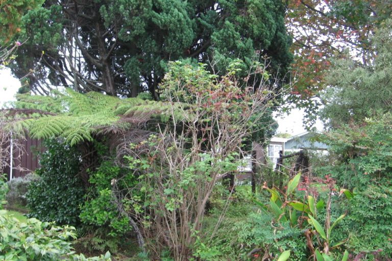 Photo of property in 1/36a Lincoln Road, Henderson, Auckland, 0610