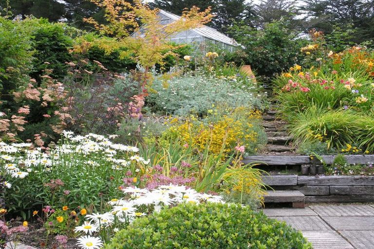 Photo of property in 899 Palmerston-waikouaiti Road, Goodwood, Palmerston, 9481