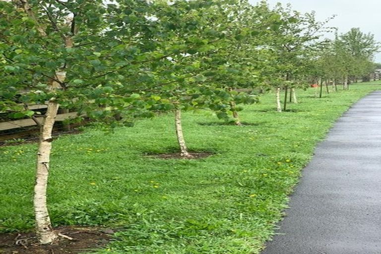 Photo of property in 18 Falls Road, Hunua, Papakura, 2583