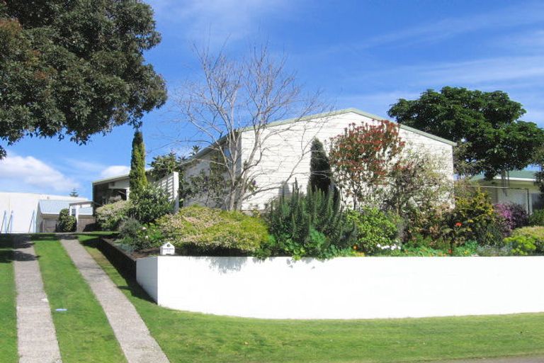 Photo of property in 66 Campbell Road, Mount Maunganui, 3116