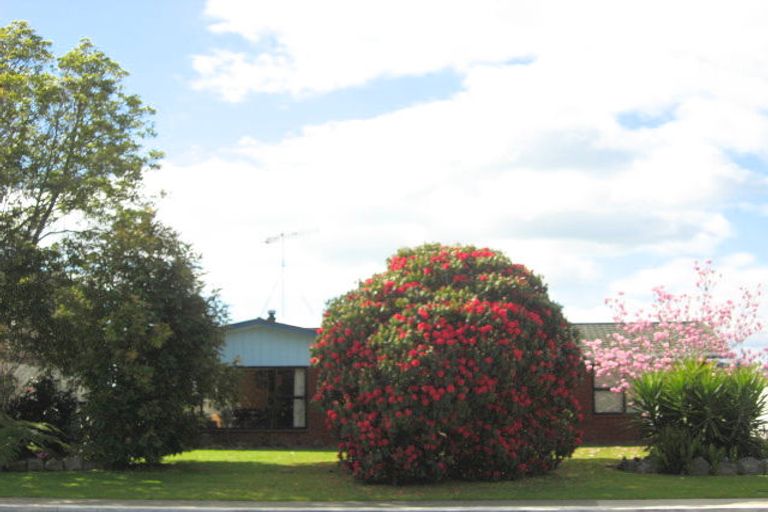 Photo of property in 61 College Road, Edgecumbe, 3120