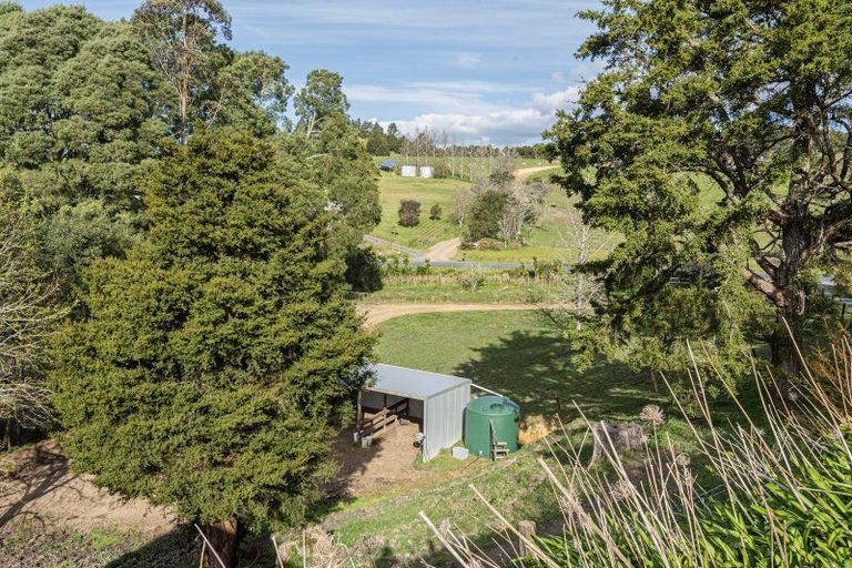 Photo of property in 307 Whananaki North Road, Opuawhanga, Hikurangi, 0181