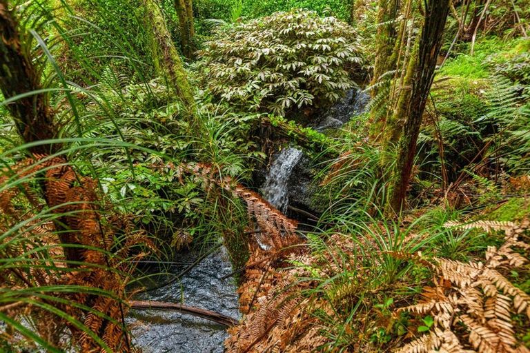 Photo of property in 3744 State Highway 10, Kaeo, 0478