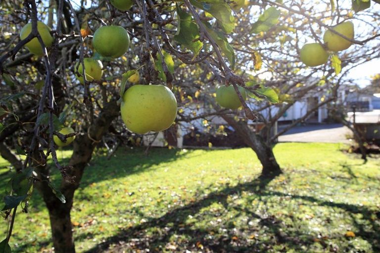 Photo of property in 20 Burns Street, Dannevirke, 4930