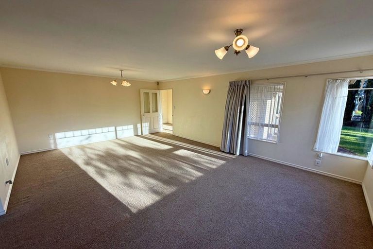 Photo of property in 125 Gloucester Road, Mount Maunganui, 3116